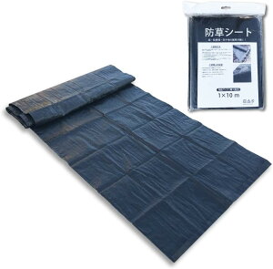 hV[g@1m×10myzlHŃ[̉ɕ~I̎Gł̕ɁI