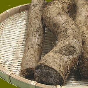 R(˂񂶂) 󂠂800gOyIIz