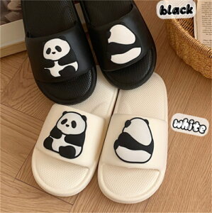 p_Xbp Jbv Aj} [V[Y j    qp fB[X ؂ p_  G F N} FL v[g Lb`   ʔN _炩