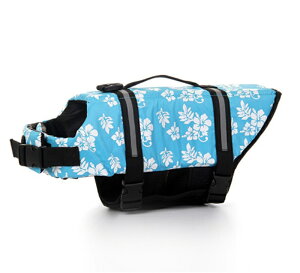  ^ ^ ^ S S CtWPbg V C  ~ ybg p ő2XL t[eBOxXg CtxXg pCtWPbg ̃CtWPbg ybg