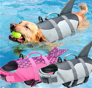  p CtWPbg CtxXg ^ ^ ^ p ̔ }WbNe[v  C̐Vт ̖h~ v[ nr ~ jpWPbg 