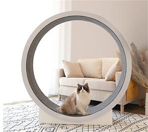 ybg [i[ LbgzC[ l LbgzC[ LbgzC[ L jOzC[ LbgEH[N Lbg [[ L̃gbh~ 񂵎 ܌ LbgGN