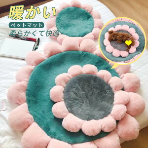 }\yP5{zybgnEX h[^ L  ybgxbh  ybg nEX ~ ^ g 薰 Q ΍ h ϊ ӂӂ  킢 