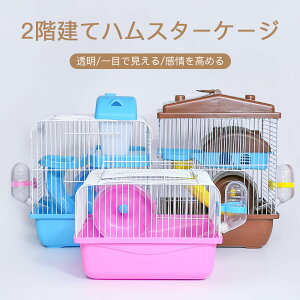 }\yP5{znX^[P[W 23*18*30cm 2KănX^[P[W P[X nX^[ P[W OȒP ₷  ʋCǂ ƗoX[ Xy[X