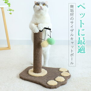 }\yP5{zLbg^[ ˂ 44.5cm ؓo^[ VO L^[ ȃXy[X X ܂Ƃ Sꊪ R i ϋv  ^s XgX