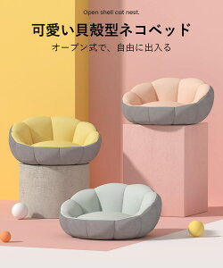 }\yP5{z50x50x19cm Lk^lRxbh L xbh ybgxbh ~ tl Lp  p ^ 􂦂 킢  ӂӂ lGʗp ?+PP+ x ㎿Ȉ