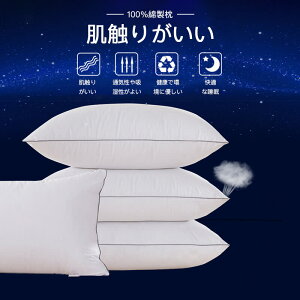 }\yP5{z zedl   Mtg 񂱂  킽 EHbVu ze N  ܂  ŃT|[g v[g Rbg  v[g 48×74c