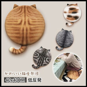 }\yP5{z킢Lzc `FApbh ᔽ  40cm `FANbV  V[gNbV zc ֎qp V[gNbV Ȃ ֎q ~`E^  e