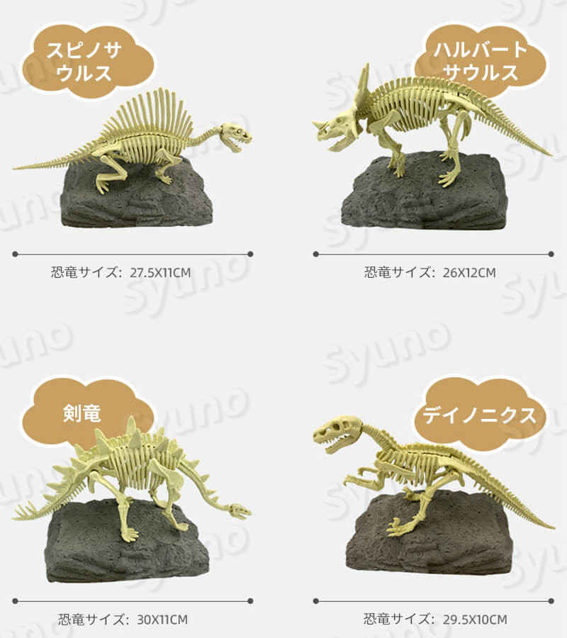 楽天市場】子供 恐竜の化石 考古学的発掘 科学教育玩具 手作りで骨を 