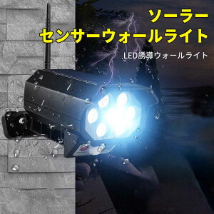 }\yP5{z42 LEDvr[Y LED\[[Cg K[f\[[Cg \[[EH[v K[fCg \[[ O h  \[[K[fCg \[