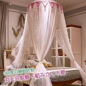 }\yP5{zᒠ VWJ[e xbhᒠ fOM fNM΍ XL[glbg Lms[ XL[meg X[sOJ[e Pl  hh ~` ݂艺 