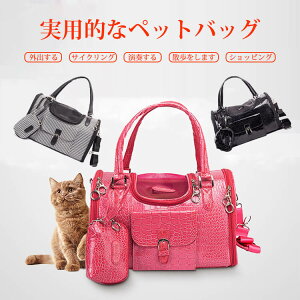 }\yP5{zybgp ܂肽 L[obO |[^u  L gxP[W ΂ bNWbp[ 𗣂 t@bVŗs܂傤 ^ A s