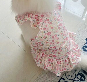 ^ ^  s[X hX ԕ ϑ 
