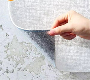 ǎ  10m ւ  V[ C ǎV[ CNV[g NbVV[g ͂ tH[  Lb` gC ʏ h l