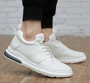 V[NbgV[Y Y Xj[J[  C V[Y 2.5cmUP gAbv Cq[ V[NbgXj[J[ [Jbg  JWAC X|[c ʋ ʊw wȂ g