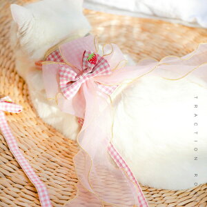 V@݌vL n[lX Ȃ  [h S4F _ubN bVLn[lX Lp lR Lbg ˂ ^ 킢 o  U Oo ʉ@ ЊQ  