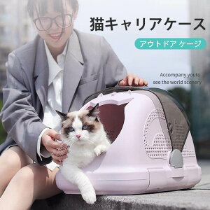 }\yP5{zLL[bN ybgOoobO ybgL[ o\A􂢂₷ FI\ łAybgL[ł ʋCẼfUCAʋCǂ 