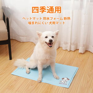 }\yP5{zybg}bg  F?I 45cm×100cm tA}bg イ ybgpi p ϖՐ ދ XgX ^s oɂ 