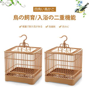 }\yP5{zOpp i22*23*32cmjʑ   Eoh~ CR  O{B ʑ̃P[W   pi