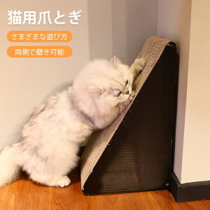 }\yP5{zLp ܔ Lp܂Ƃ܂܂ V  Ŗ \Op`  fUC͏v 肵Ăē]| ɂrOłɒu  Lp̒ 