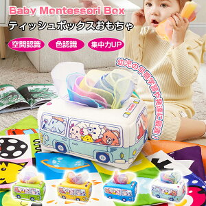 xr[   eb\[  Ԃ̂ Ԃ  eBbV  eBbVP[X eBbV{bNX 10XJ[tt ԂzG