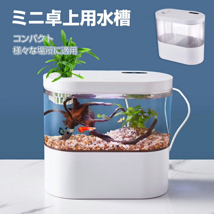 LEDライト フィルターポンプ付き 水槽セット アクアリウム コードレス 水族館 オーナメント 自由研究 LED照明 水槽 セット卓上 玄関 リビング LEDランプ 水槽セット おしゃれ オブジェガラス かわいい | Syuno