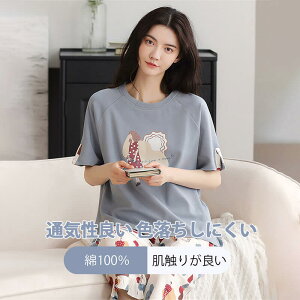 }\yP5{z pW} 100% pW}  [EFA ㉺Zbg fB[X iCgEFA      pW} v  EhlbN 