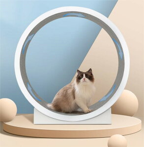 ybg [i[ LbgzC[ l LbgzC[ LbgzC[ L jOzC[ LbgEH[N Lbg [[ L̃gbh~ 񂵎 ܌ LbgGN