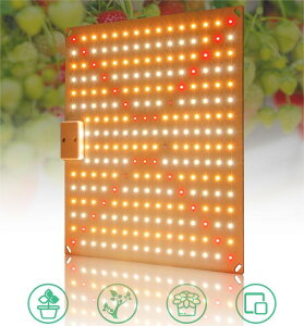 A琬Cg LED 210 Px 2iK cCg ϗtA A  tXyNg gFLED vgCg A琬pv k͔|Cg pCg ȃGl  A_v