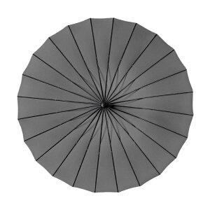 P Y fB[X  P JP Jp n rbOTCY UVJbg O΍ {^蓮J 傫P IV 24{  ꂢ 12F