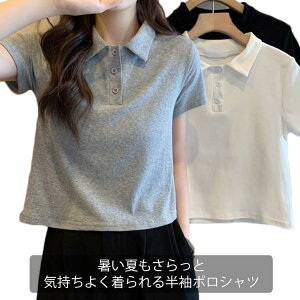 |Vc  X|[c gbvX t  tVc T}[jbg p  `Ԉ z  ItBX AEghA ʋ  d  St rWlX n 傫TCY JWA