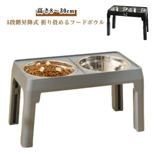 H ~ XeX \ ܂ t[h{E Hh~ ^ 5iK p   ybg rt {E t[h{E H   ^  t[hX^h ^ 