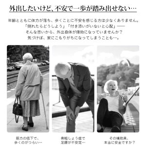 Ki   XebL `FA[ XebL`FA  ֎qɂȂ ܂肽ݏ RpNg CX AEghA`FA   AEghA ނ St ^ ֎q  2WAY s⏕