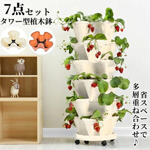 Aؔ A̓|bg C`S v^[ ^[^ ƒ؉ ؍͔| LX^[t gݍ킹 u ̐Aؔ wdˍ킹 Tj[^X A ϗtA ʋC z[ Ce