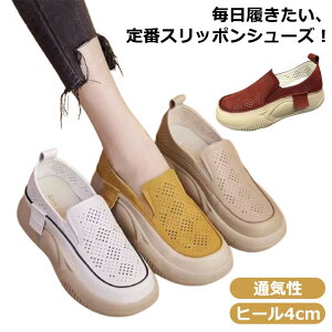 fB[X ʋC   Xb| Xb| O q[4cm C Xj[J[ RtH[gV[Y C Xb| [q[ V[Y  y C y Xj[J[ g