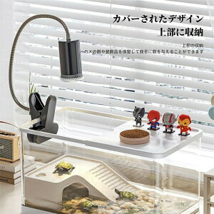 T̎P[X T  傫 Jp S҃Zbg Wt [@\ ȒP a肪֗  y 甠 TP[W Eoh~ T̊y T NK K {bNX 