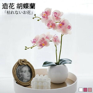 ~jTCY Ӓ  G} j A[gt[  v[g JX J@j  e[uTCY RpNg ̓ ̓ hV̓ {