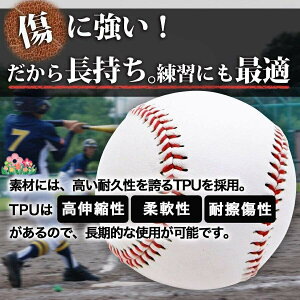 d싅{[ 12Zbg Kp d obeBOK Lb`{[ gXobeBO eB[obeBO Sߋ 