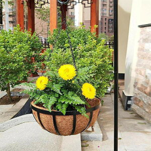 V}bgRRibc}bg| V}bg` 6Zbg RRibcCi[ wb_[ EH[oXPbgAؔ Ci[ ւ ʋC  z ϋv Czi 