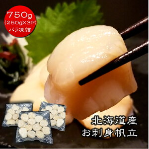 kCY قĊL 250`750g hgp  󂠂 ŏʃN Ղ Hp ق  z^e  e hg ōO[h Ⓚ uԗⓀ Mtg  RXp  