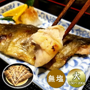 骨取 シマホッケフィーレ 2kg 無塩 大サイズ(10〜14枚前後 1枚150〜200g) 冷凍