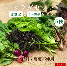 楽天市場 わさび菜の通販 楽天市場 わさび菜の通販