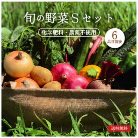 旬の野菜 詰め合わせ　6品目前後　Sセット　オーガニック　おまかせ　野菜セット野菜　お取り寄せ　産地直送　送料無料　自然農法　自然栽培　旬　野菜BOX　新鮮　 産直 　食材　人気のセット　化学肥料農薬不使用