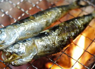 送料無料 訳あり いわし丸干 2キロ 60匹 前後 節分 イワシ いわし 真イワシ 真いわし まると水産 愛知 豊…