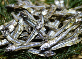 愛知県産 田作り（たつくり・タツクリ）70g