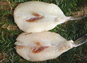 mY ܂ƐY ސ TotO̊ yӂ ӂziEj4-6