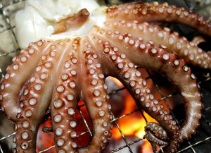 魚介加工品 干物 たこの人気商品 通販 価格比較 価格 Com