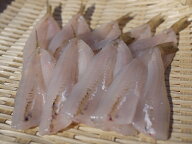 愛知・豊浜産 伊勢湾産 シロギスの開き キス開き（天ぷら用） 200g （14〜20尾）