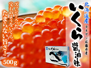 【送料無料】【新物入荷】北海道産 カネサン佐藤水産　 いくら醤油漬 500g【250g×2】【イクラ】【絶品】日本一美味しいイクラだと思います
