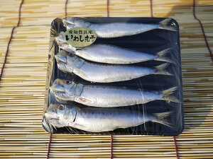  m LlY ܂ƐY ^킵ۊ 5C 5P v25C